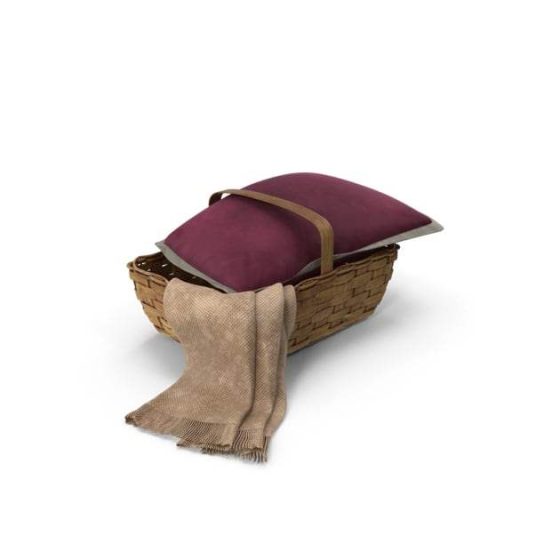 Basket with Pillow